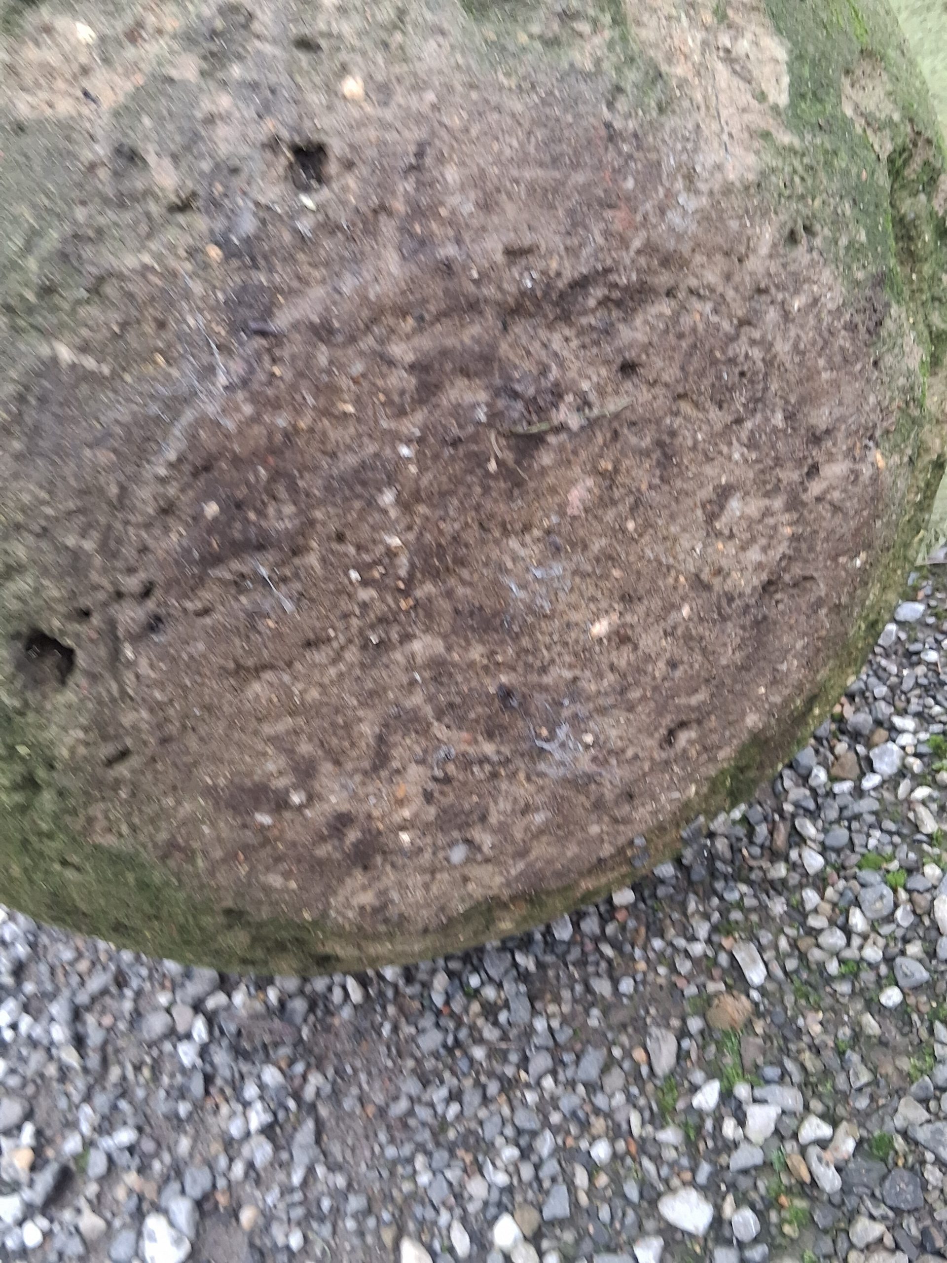 20251116_125413 - Copy