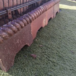 Victorian rope top garden edging